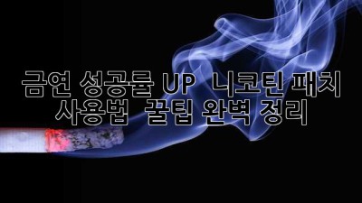 금연 성공률 UP! 🚀 니코틴 패치 사용법 & 꿀팁 완벽 정리 📝